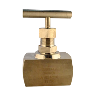 AGUJA PTV 6.000PSI SS316 NPT