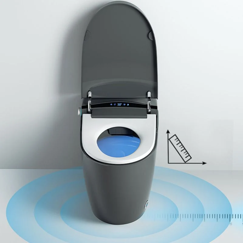 Bidé de asiento de inodoro alargado electrónico gris con mando distancia inalámbrico Clearhalo