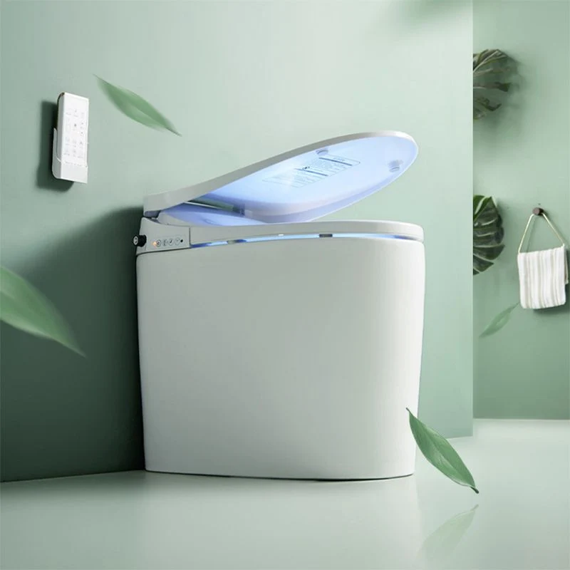 Bidé blanco alargado de 20,47" H Bidé de inodoro inteligente de una pieza con secador Clearhalo