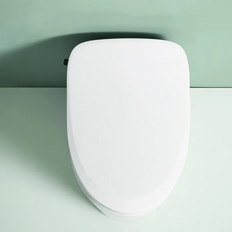 Bidé blanco alargado de 20,47" H Bidé de inodoro inteligente de una pieza con secador Clearhalo