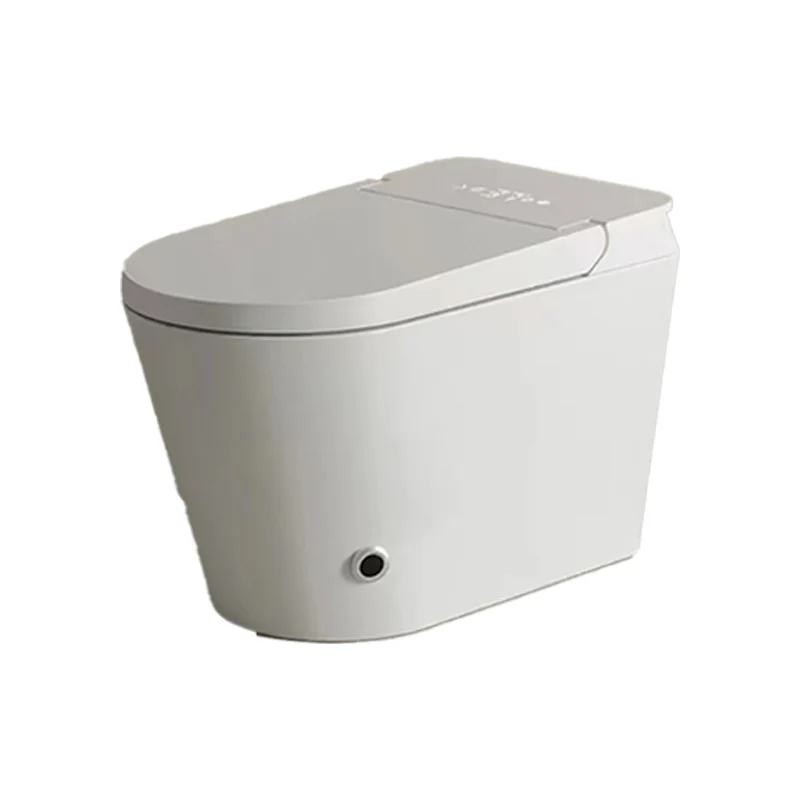 Bidé con asiento de inodoro alargado horizontal en blanco de 18,1" H con secador Clearhalo