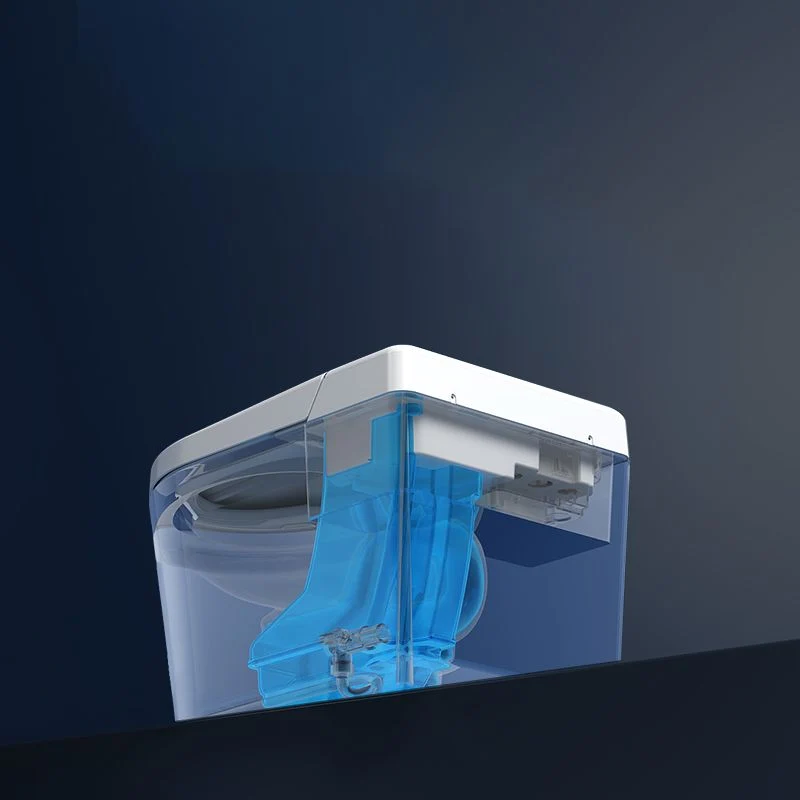 Bidé con control de temperatura en bidé con asiento de inodoro alargado blanco con asiento calefactable Clearhalo