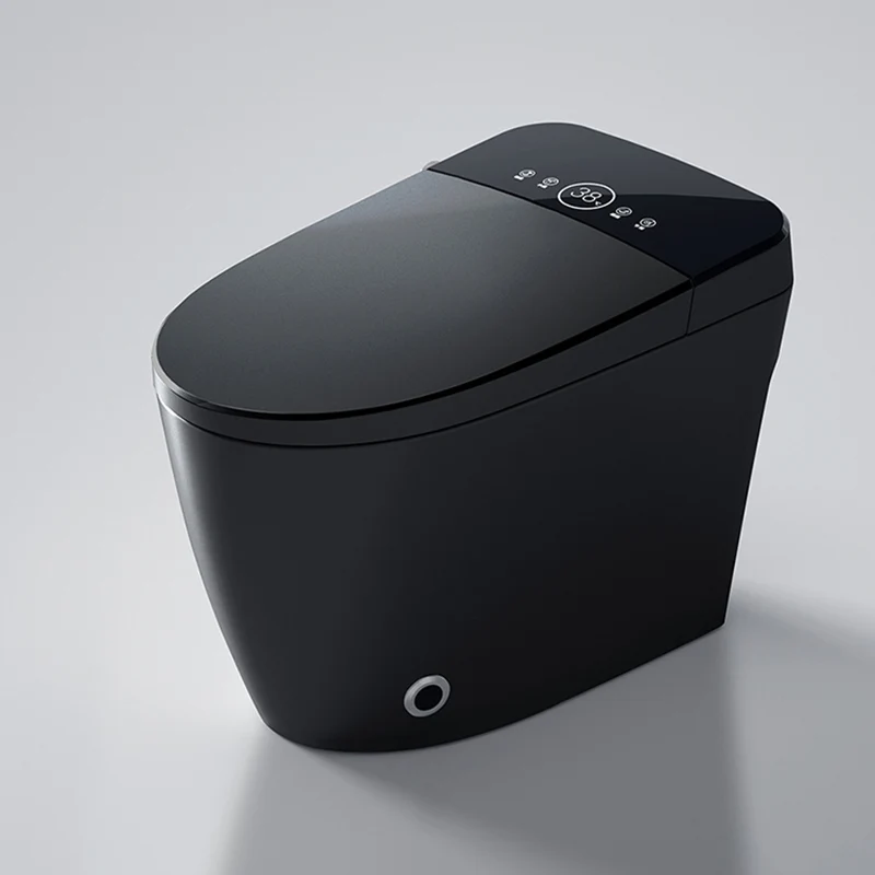 Bidé elegante alargado del control de temperatura del bidé del piso Clearhalo