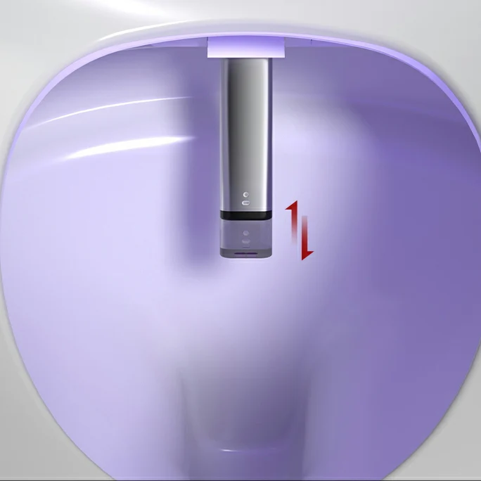 Bidé inteligente redondo de cerámica resistente las manchas con control de temperatura Clearhalo