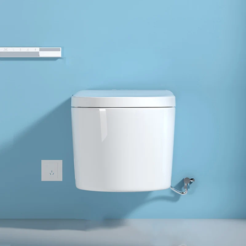 Bidé inteligente todo en uno blanco con tanque Bidé de montaje en pared de 15" de ancho Clearhalo
