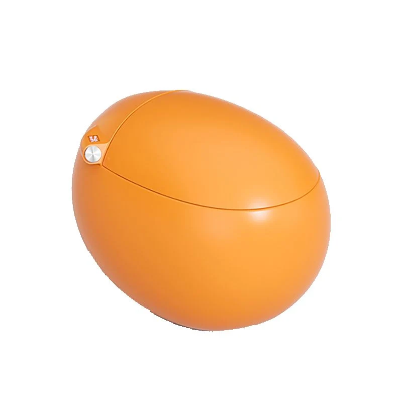 Bidé de montaje en suelo resistente las manchas para inodoro inteligente redondo con asiento calefactable Blanco Clearhalo