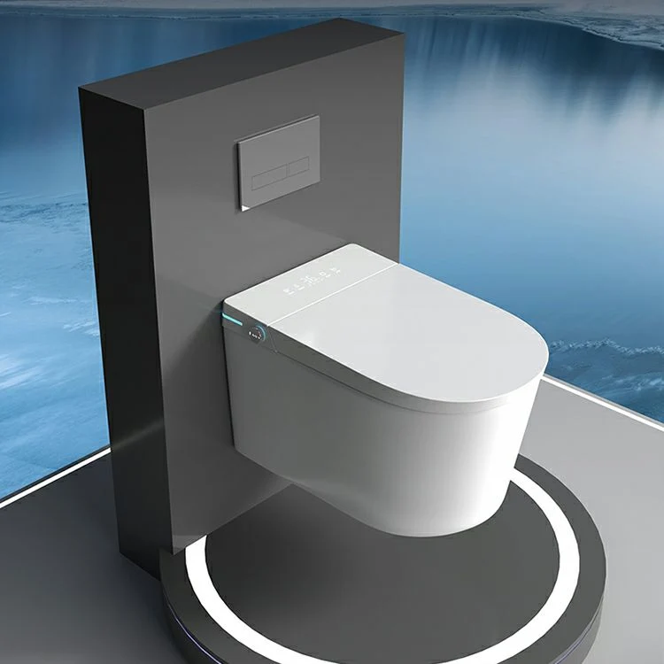 Bidé de pared alargado de cerámica blanca resistente las manchas con control de temperatura Clearhalo