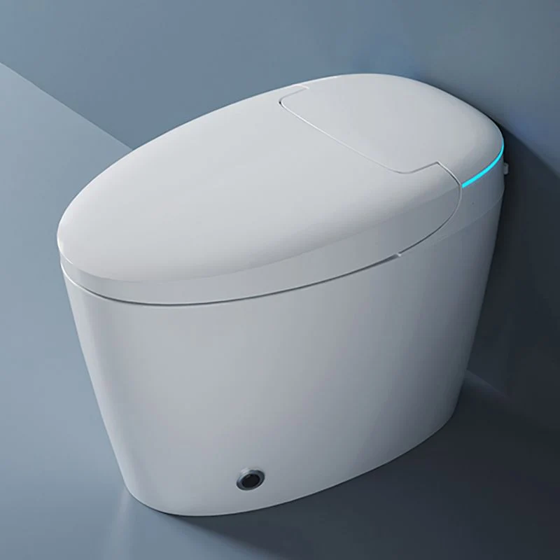 Bidé de pie contemporáneo Bidé alargado con asiento calefactable Clearhalo