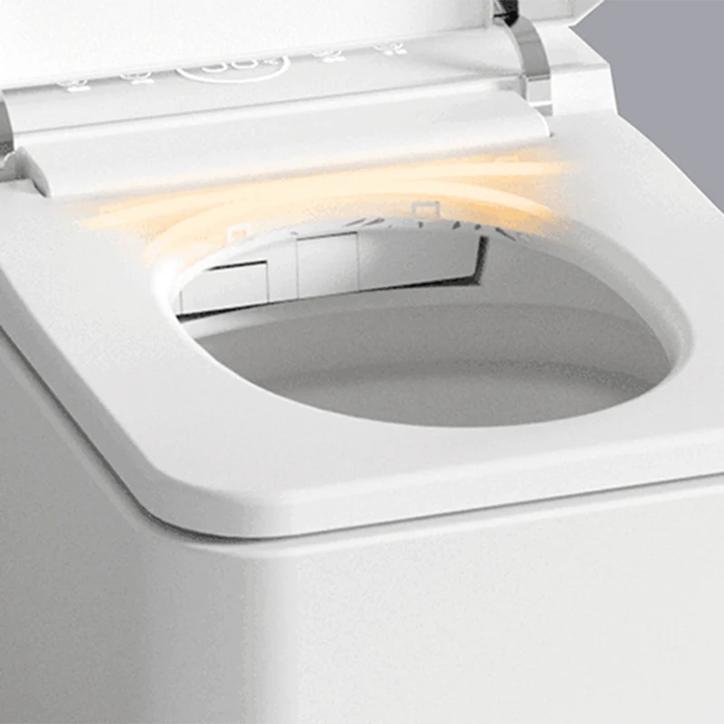 Bidé resistente la corrosión en un inodoro inteligente más blanco y resistente la corrosión Clearhalo