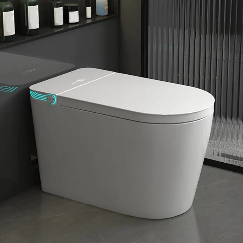 Bidé de suelo moderno con control de presión de agua en blanco Gris Clearhalo