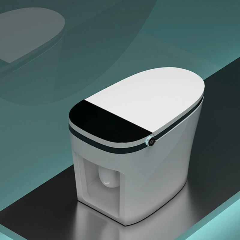 Bidé de suelo todo en uno alargado con agua caliente ilimitada Clearhalo