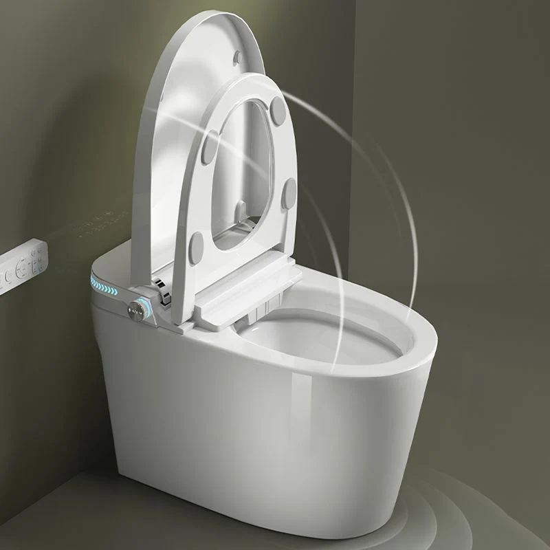 Bidés minimalistas Bidés Inodoro Control de temperatura Bidé con asiento alargado en blanco Clearhalo