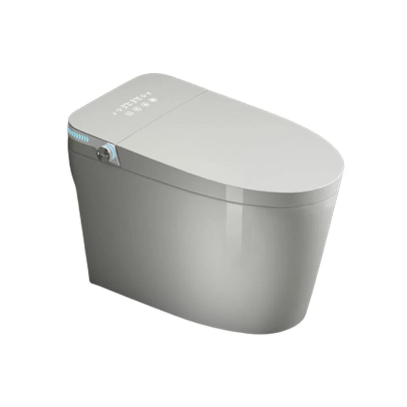 Bidés minimalistas Bidés Inodoro Control de temperatura Bidé con asiento alargado en blanco Clearhalo