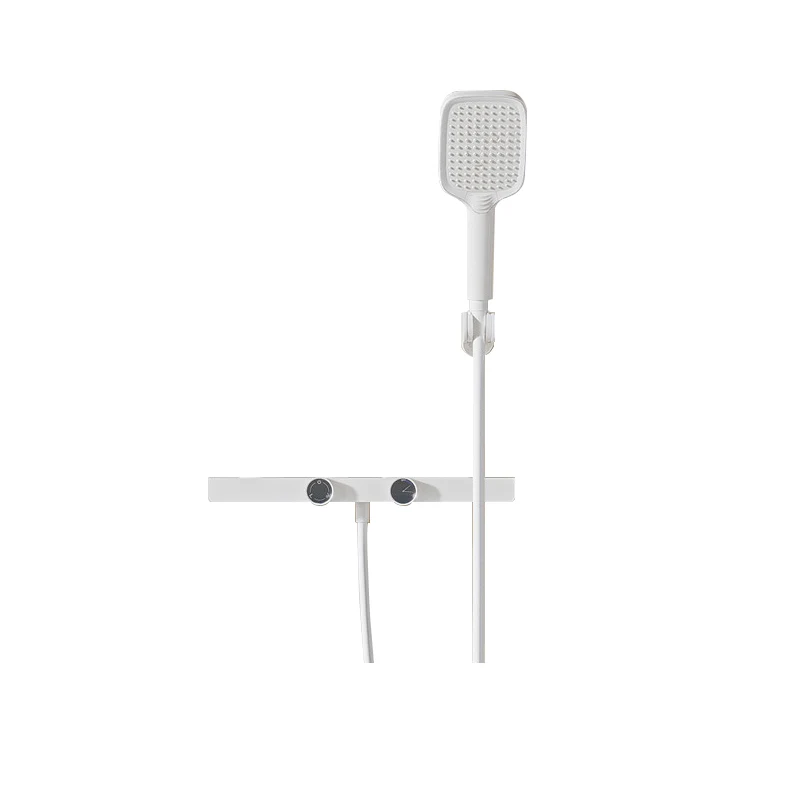 Combo de cabezal de ducha montado en la pared con patrón de rociado ajustable contemporáneo Blanco Clearhalo