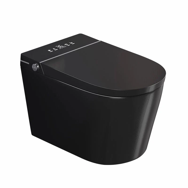 Control de temperatura Bidé inteligente Asiento calefactor de pared alargado Cerámica Clearhalo