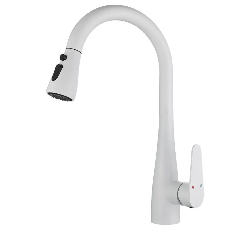 Grifo de cocina abatible Grifo monomando con rociador extraíble Clearhalo
