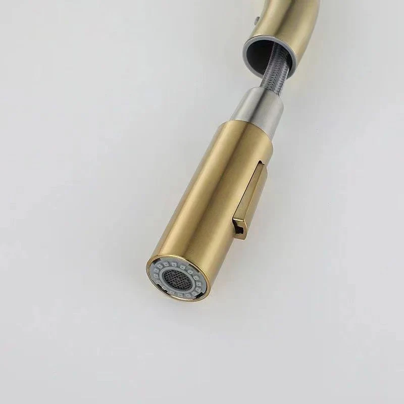 Grifo de cocina tradicional abatible, grifo monomando con rociador extraíble Clearhalo