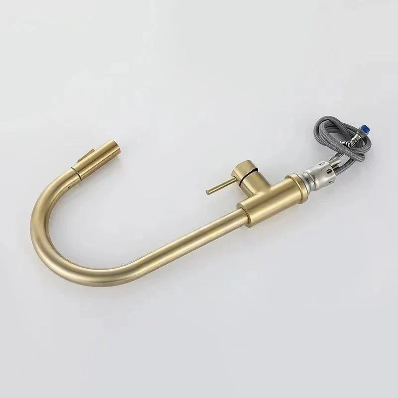 Grifo de cocina tradicional abatible, grifo monomando con rociador extraíble Clearhalo