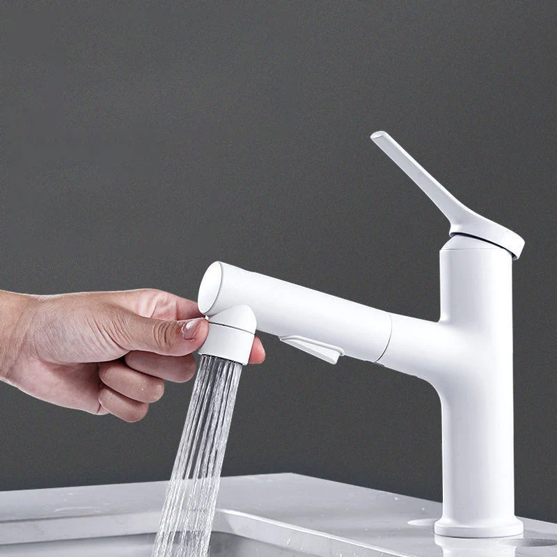 Grifo de lavabo de baño simple extraíble Grifo monomando de 1 orificio Negro Clearhalo