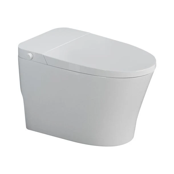 Inodoro Elong moderno inodoro de una pieza con asiento para baño Clearhalo