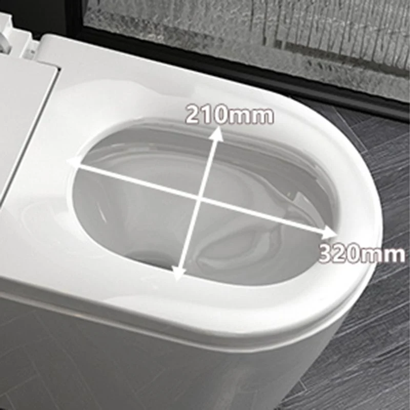 Inodoro inteligente todo en uno Bidé de pie alargado blanco con asiento calefactable Clearhalo