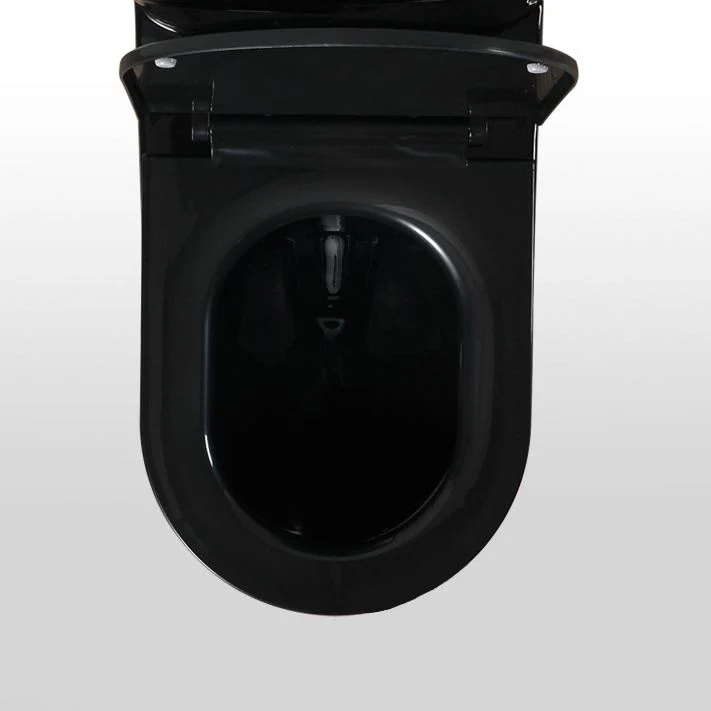 Inodoro moderno con chorro de sifón, inodoro empotrado con asiento Clearhalo