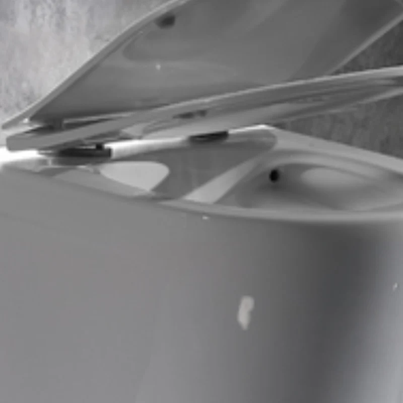 Inodoro moderno de pared, inodoro blanco con asiento para baño Clearhalo