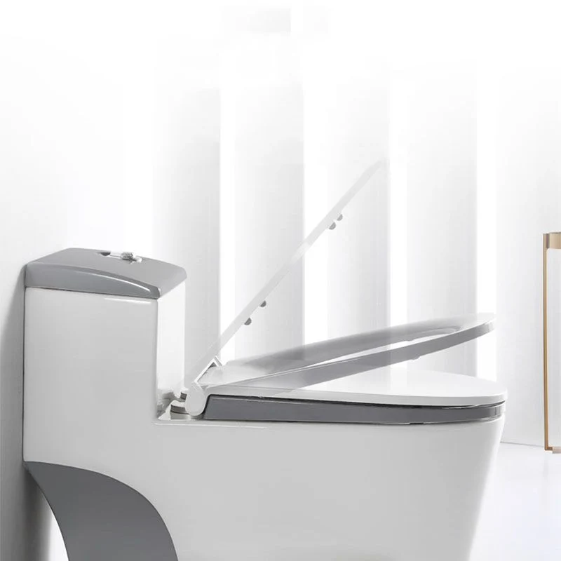 Inodoro Syphon JetFlush Inodoro tradicional de una pieza con asiento de cierre lento Clearhalo
