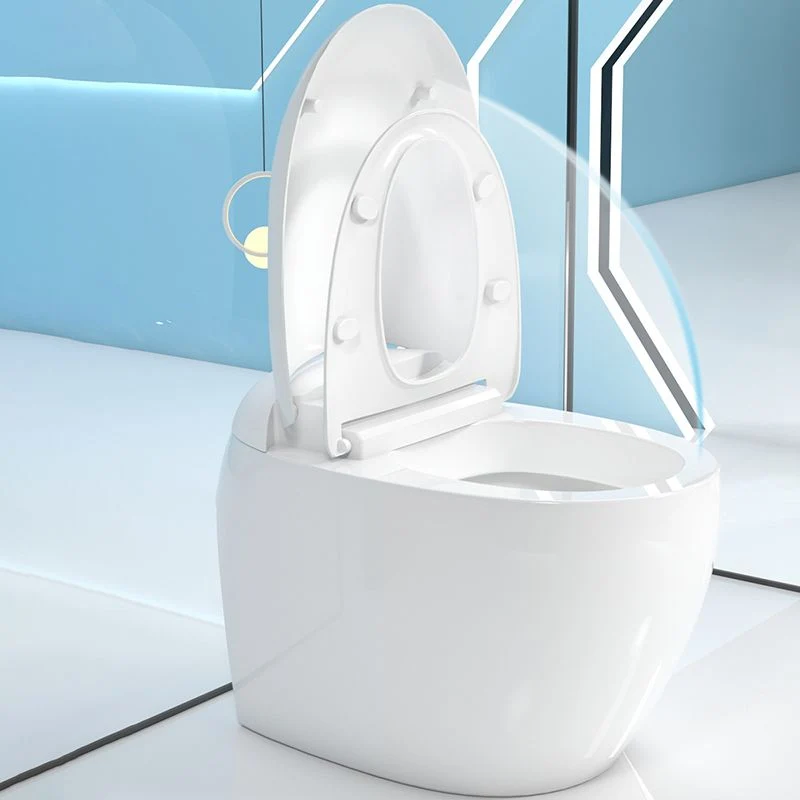 Inodoro todo en uno interior de cerámica con acabado pulido moderno Clearhalo