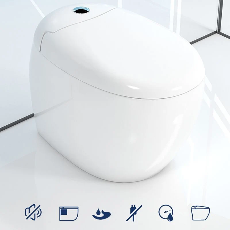 Inodoro todo en uno interior de cerámica con acabado pulido moderno Clearhalo