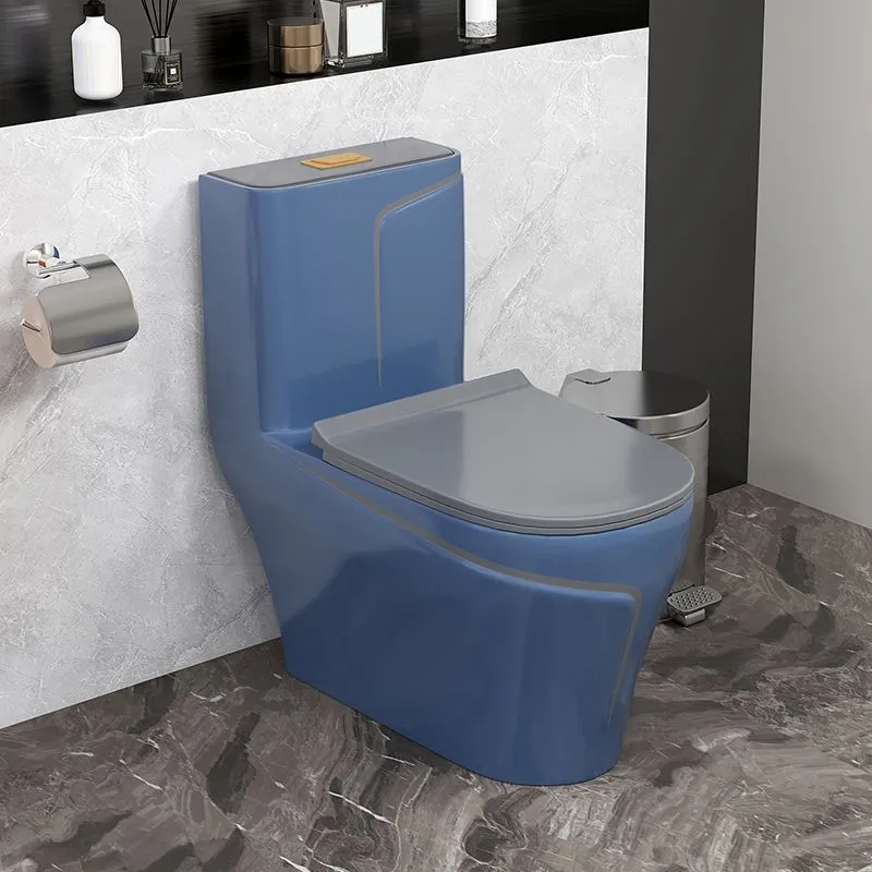 Inodoro tradicional de una pieza con montaje en piso y asiento de cierre lento Blanco Clearhalo