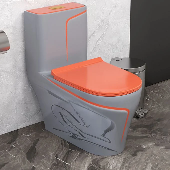 Inodoro tradicional de una pieza con montaje en piso y asiento de cierre lento Blanco Clearhalo