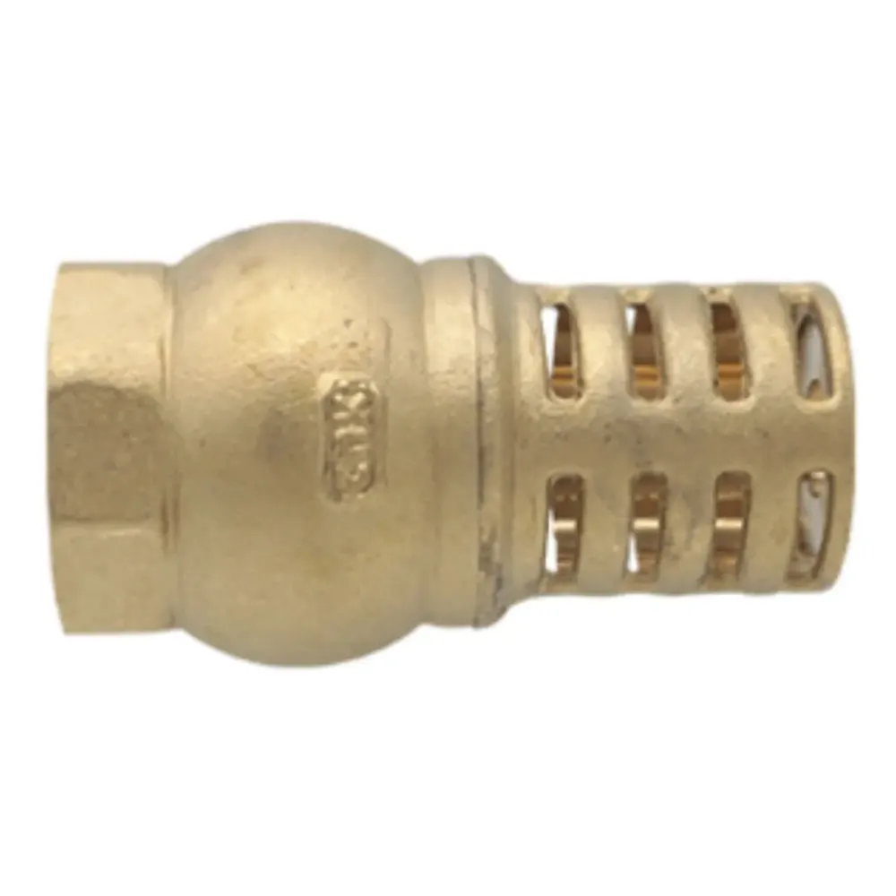 Valvula de Pie 2" CNX Agua Laton