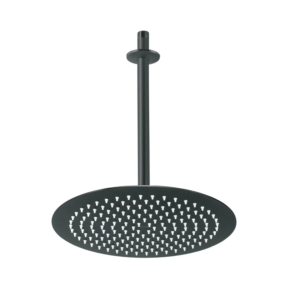 Regadera plato redondo 12" con brazo, negro, Foset RIVIERA