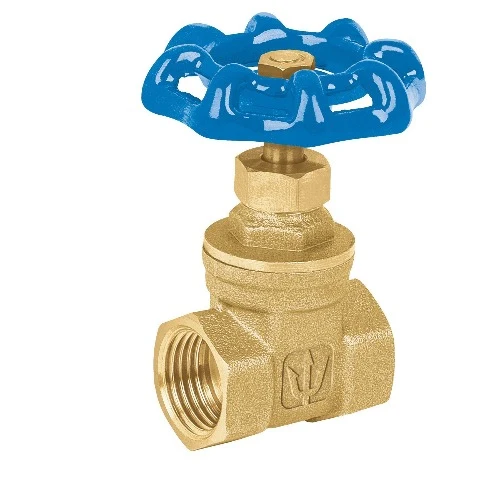Valvula Compuerta 1 (49019) Foset