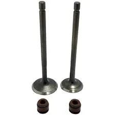 Valvula Motor Con Retenes AN125 GENERICO