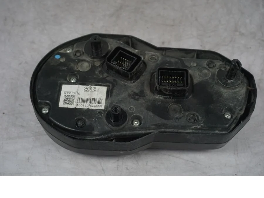 Tablero de instrumentos Triumph