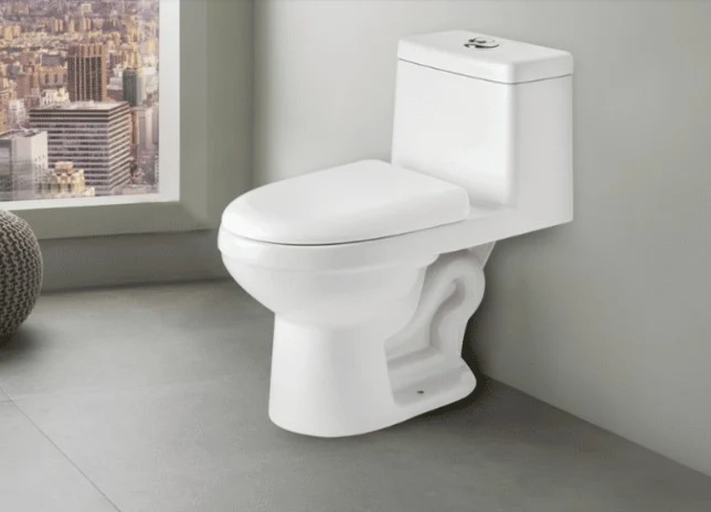 WC CERAMICO ONE PIECE VP-WC03 WASSER