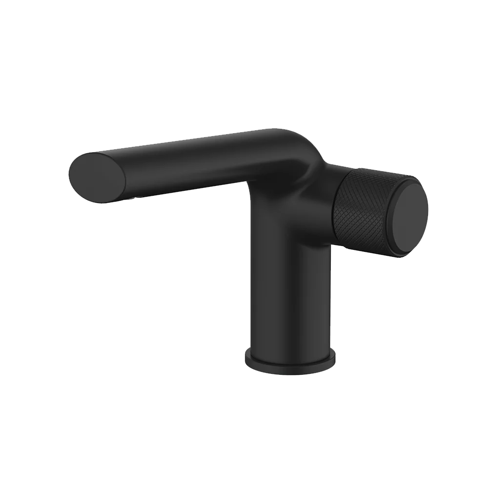 Monomando corto para lavabo PROJECT 1.0 Negro Wasser