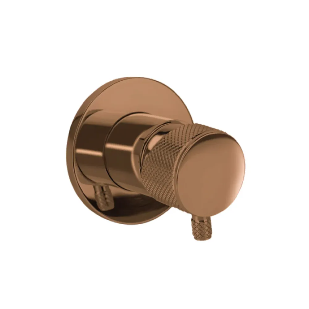 MONOMANDO EMPOTRABLE PARA REGADERA WS62.101G ORO ROSA WASSER