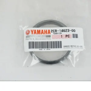 Conexión de escape Yamaha