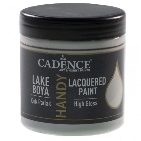 LACQUERED PAINT 250 ml GRAY L56 CADENCE
