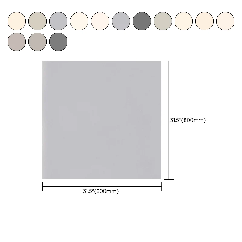 Azulejo singular mate de cerámica rectangular, sin patrón, piso de baño Gris Clearhalo