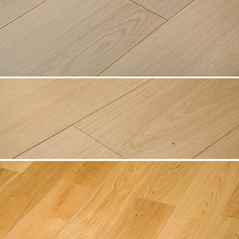 Piso laminado Madera Medio Impermeable Sala de estar Piso laminado interior Beige Clearhalo