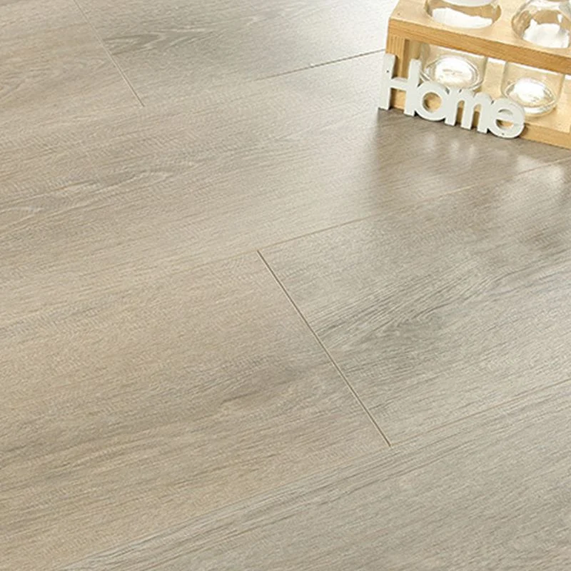 Pisos al aire libre que no se decoloran Rectángulo Estilo moderno Piso liso impermeable para uñas Marron Clearhalo