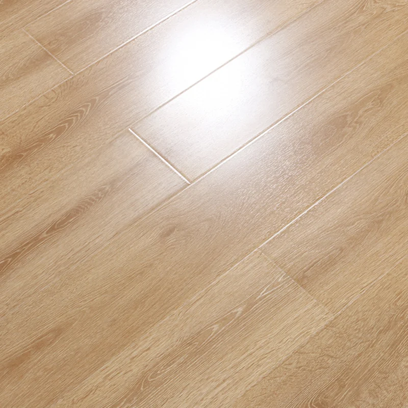 Pisos laminados resistentes rayones Pisos de tablones laminados Click-Lock Clearhalo