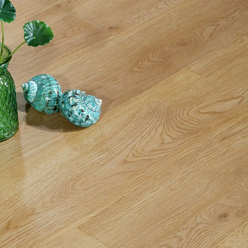 Tablones de pisos tradicionales Piso de madera con cerradura de clic resistente al agua de madera maciza Clearhalo