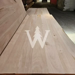Cubiertas Lenga stock