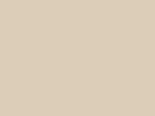 FRAGUE BEIGE 1 KILO FERRETERIA CHACABUCO