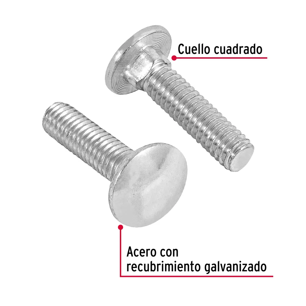 Bolsa con 60 tornillos 5/16" x 1-1/4" tipo coche, Fiero